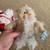 3 Collector's Plush Santa's of the World 16 thumbnail