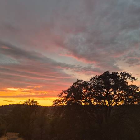 $399,000 / 4br - 2264ft2 - Four bedroom 3 bath on secluded land (Mariposa)64043663241986121
