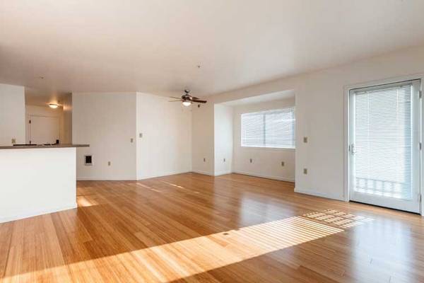 Chic Modern ~ Corner Light & Balcony ~ Apply Today! 1