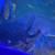 Gfp Wild type Axolotl 1 thumbnail