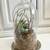 Gorgeous Easter Bird Nest Terrarium 1 thumbnail