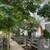 Beautiful, spacious 2 BR Townhouse by MOSAIC @ Gardner / Abbotsford 22 thumbnail