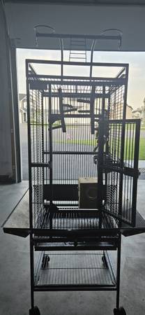 Conures (Rogers)64001741115011124