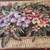 Wall Tapestry Tropical Flowers Wall Tapestry 1 thumbnail
