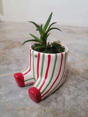Holiday Planter 1