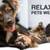 (M-E) Darling duplex-2 br-Gated-Country in the City-Pets OK!! 6 thumbnail