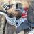 Honda CR/CRF Parts 19 thumbnail