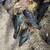 Pigeons 4 thumbnail