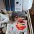 ALC Integrated Home Security Surveillance Protection Kit 2 thumbnail