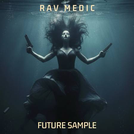 Trip Hop/EDM - Female Singer needed 1