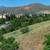 JUST UNDER 1 ACRE LOT NEAR UTE PARK TO BUILD YOUR BEAUTIFUL HOME! 1 thumbnail