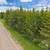 Polebridge and Glacier Mountain Views= Heaven on Earth!! 10 thumbnail