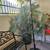 Beautiful Very Private Casita 1/2 Mile from El Paseo 11 thumbnail