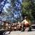 Chipping, stump grinding, defensible space clearing, firewood splitting, trimmin 8 thumbnail