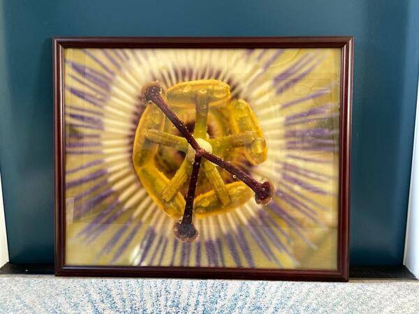 Large Aaron brothers picture frame 32” x 26” 1