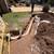 Plumbing Repairs Austin | Licensed - Leaks, Drains & Water Heaters 19 thumbnail