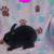 Pedigreed Mini Rex Bunnies 🐰 9 thumbnail