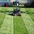LAWN MOWING, also weeding & yard cleanup 11 thumbnail
