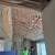 GENERAL CONTRACTOR/CONTRATISTA GENERAL 12 thumbnail