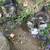 little cats 1 thumbnail