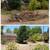 Yard Work – Mowing, Fence Repair & More!
 4 thumbnail