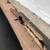 Plumber Camera and Leak Detection Slab Water Leak Drain Repair Re Pipe 4 thumbnail