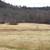38.64 Acre Land / Building Lot 5 thumbnail