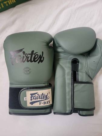 Fairtex FDay Muay Thai/Boxing gloves 1