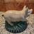 Cute Ceramic Pig 2 thumbnail