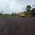 Affordable Land Clearing Services free estimates 2 thumbnail