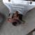 1998 1999 2000 2001 2002 Toyota Corolla OEM Used Parts 9 thumbnail