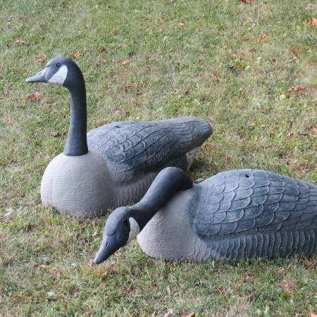 Goose decoys 1