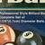 Sportcraft Billiard Ball Set & 2-Clue Calk. IN Madison, Wis 8 thumbnail