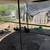 Gamefowl (pollos) 4 thumbnail