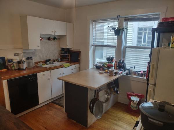 $1,450 / 2br - 1200ft2 - Beautiful, spacious light and airy two-bedroom apartment with large living room, (Chicago)63781607469571120