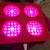 GROW LIGHT  set of 5 1 thumbnail