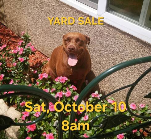 Yard sale photo