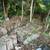 Paving Stones & Retaining Wall Blocks 4 thumbnail