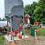 Feed Corn-Shelled Corn-Chicken Feed 2 thumbnail