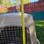 X-Large Pet Carrier 4 thumbnail