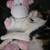 Female calico mix 1 thumbnail