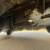 2010 Ford E350 Wheelchair Van 66K NO RUST Clean Inspected  REAR RAMP 24 thumbnail