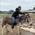 Nice gentle guardian, pet or riding Jenny donkey 5 thumbnail