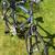 700c TREK 7200 Multitrack XXL 24 Speed Hybrid Mountain Bike MINT! 9 thumbnail