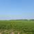 197+ Acres Agricultural Land in Browerville 13 thumbnail