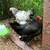 Looking for Chickens 1 thumbnail