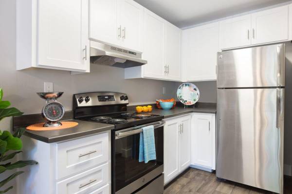 $2,237 / 440ft2 - Dog Park, 3 Miles to Concord BART Station, Courtyard (concord / pleasant hill / martinez)63994100119554124