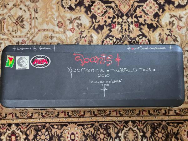 Strat / Tele Guitar Case 1