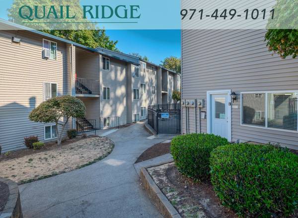 $1,250 / 1br - Fireplace, Fans, Large Ceilings + Lovely 1 Bedroom - Pet Friendly Unit (Portland)63831327442305120