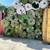 Artificial Grass (Brand New Rolls!!) 4 thumbnail